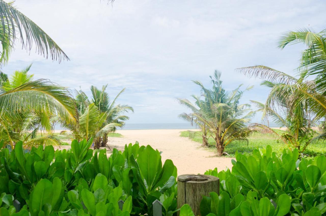 Zendara Hotel Negombo Bagian luar foto